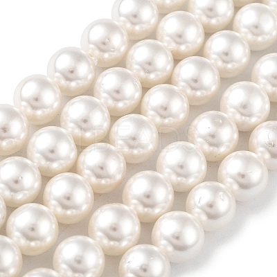 Shell Pearl Bead Strands BSHE-L026-03-8mm-1