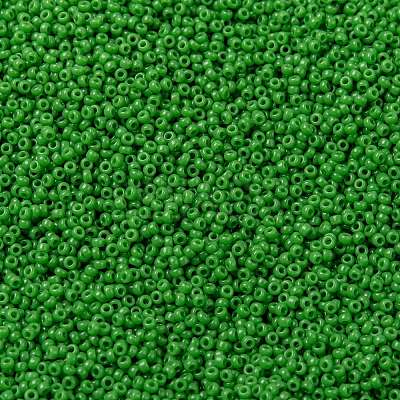 MIYUKI Round Rocailles Beads X-SEED-G009-RR0411-1