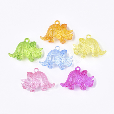 Transparent Acrylic Pendants TACR-S133-112-1