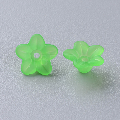 Transparent Acrylic Beads X-PL554-13-1