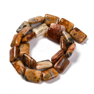 Natural Crazy Agate Beads Strands G-T047-B18-01-1