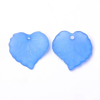 Transparent Acrylic Pendants PL591-5-1