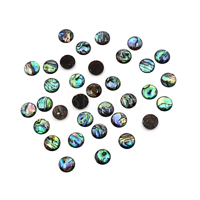 Paua Shell Cabochons SHEL-WH0001-002B-1