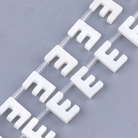 Freshwater Shell Beads X-SHEL-T012-59E-1