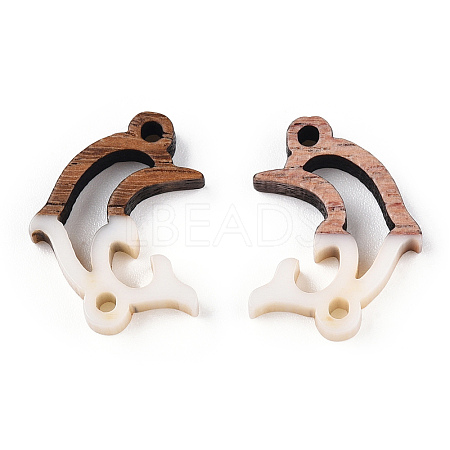 Opaque Resin & Walnut Wood Connector Charms RESI-N039-46H-1