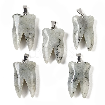 Natural Labradorite Pendants G-G115-01B-1