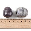 Natural Lepidolite Beads G-G348-01B-42-3