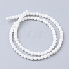 Natural Freshwater Shell Bead Strands SHEL-S249-29-1