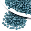 2-Hole Baking Paint Glass Seed Beads SEED-S031-L-ST1006FR-1
