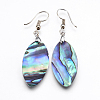 Abalone Shell/Paua Shell Dangle Earrings EJEW-F147-E10-1