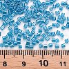 Glass Bugle Beads SEED-S032-11A-121A-4