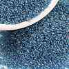MIYUKI Round Rocailles Beads X-SEED-G009-RR0326-1