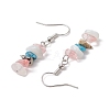 Natural Mixed Stone Dangle Earrings EJEW-JE06154-02-4