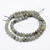 Natural Labradorite Beads Strands G-P322-29-6mm-2