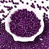 Opaque Baking Paint Glass Seed Beads SEED-T008-02U-2