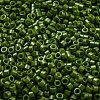 Baking Paint Glass Seed Beads SEED-S042-05A-21-3