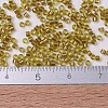 MIYUKI Delica Beads X-SEED-J020-DB0909-2