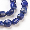 Natural Lapis Lazuli Beads Strands G-F575-01E-2