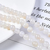 Natural Crackle Agate Beads Strands G-S359-240B-1-3