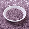 MIYUKI Round Rocailles Beads SEED-X0054-RR2024-2
