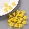 Transparent Acrylic Beads PLF018-19-7