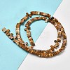 Natural Picture Jasper Beads Strands G-Z045-A09-01-2
