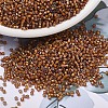 MIYUKI Delica Beads X-SEED-J020-DB1779-1