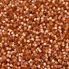 MIYUKI Delica Beads X-SEED-J020-DB1804-3