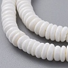 Disc Natural Sea Shell Beads Strands SSHEL-F290-21-3