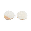 Natural Freshwater Shell Beads X-SHEL-T007-02-6
