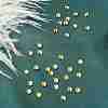 Preciosa&reg Crystal Hotfix Flatback Stones Y-PRC-HSS16-80250-1
