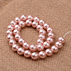 Polished Round Grade A Shell Pearl Bead Strands BSHE-M027-8mm-23-2