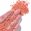12/0 Glass Seed Beads SEED-S060-A-F419-4