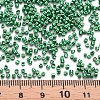 Plated Glass Cylinder Beads SEED-S047-E-002-4