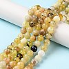 Natural Yellow Opal Beads Strands G-Q1001-A02-01-4