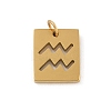 304 Stainless Steel Charms STAS-R001-03G-11-1