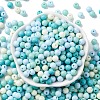 Opaque Acrylic Beads SACR-Q004-01C-2
