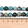 Natural Chrysocolla Beads Strands G-K405-B01-10mm-6