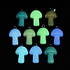 Synthetic Noctilucent Stone/Luminous Stone Pendants G-Z054-07-2