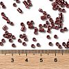 Baking Paint Glass Seed Beads X-SEED-S042-15A-19-4