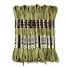 10 Skeins 6-Ply Polyester Embroidery Floss OCOR-K006-A33-1