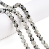 Natural Sesame Jasper/Kiwi Jasper Bead Strands G-R345-6mm-36-1