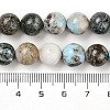Natural Larimar Beads Strands G-P524-A02-04-5