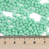 Baking Paint Glass Seed Beads X1-SEED-K010-A07-4