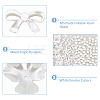 300Pcs 5 Style ABS Plastic Imitation Pearl Beads OACR-DC0001-07-4