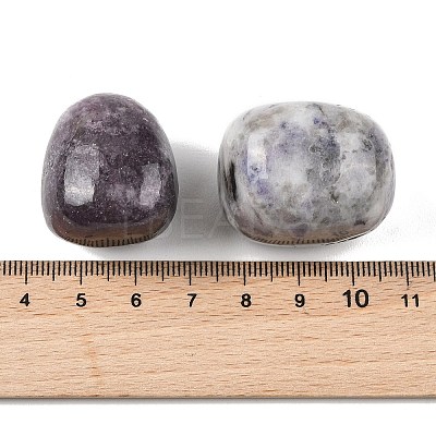 Natural Lepidolite Beads G-G348-01B-42-1