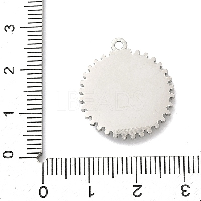 304 Stainless Steel & Rhinestone Pendants STAS-G371-09G-01P-1