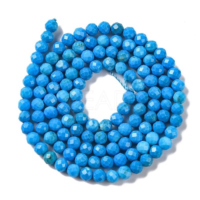 Natural Howlite Beads Strands G-C025-02B-10-1