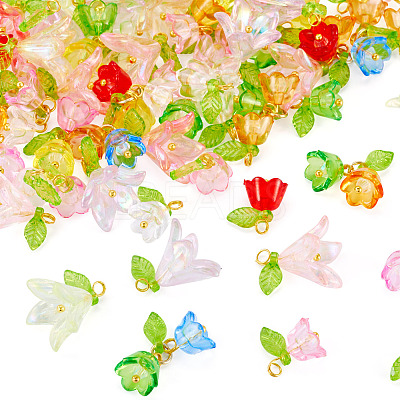 60Pcs 3 Styles Transparent Acrylic Pendants HJEW-TAC0180-1