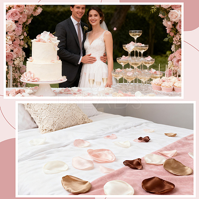 300Pcs Polyester Artificial Rose Flower Petals FIND-CN0002-43A-1